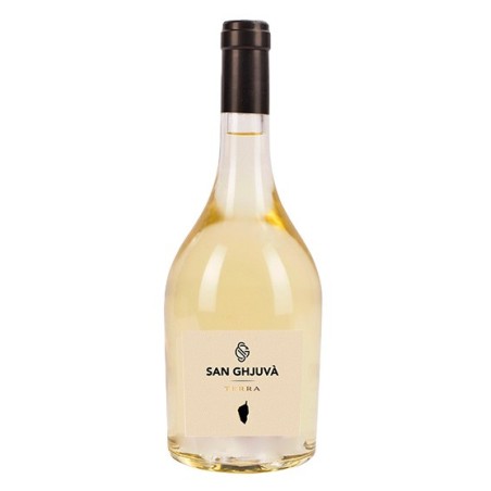 Vignerons d'Aghione, San Ghjunà, Terra, Blanc